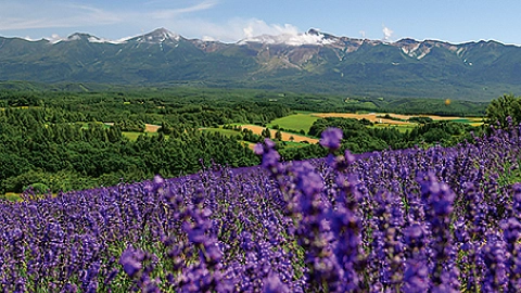 深山峠