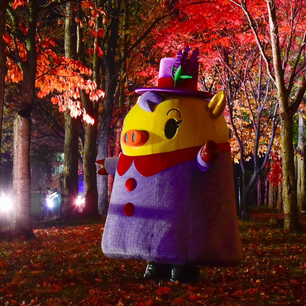 らべとんのお部屋の写真(北海道上富良野町)